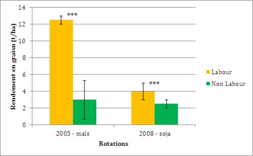 Graphique : Rendements en grains pour les 2 rotations et les 2 gestion culturales (d'après Peigné, J. et al. NP)