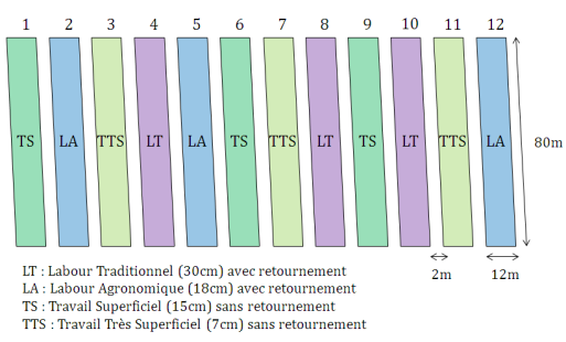 Schéma : Dispositif expérimental du site Thil (d'après Vian, JF. 2009)